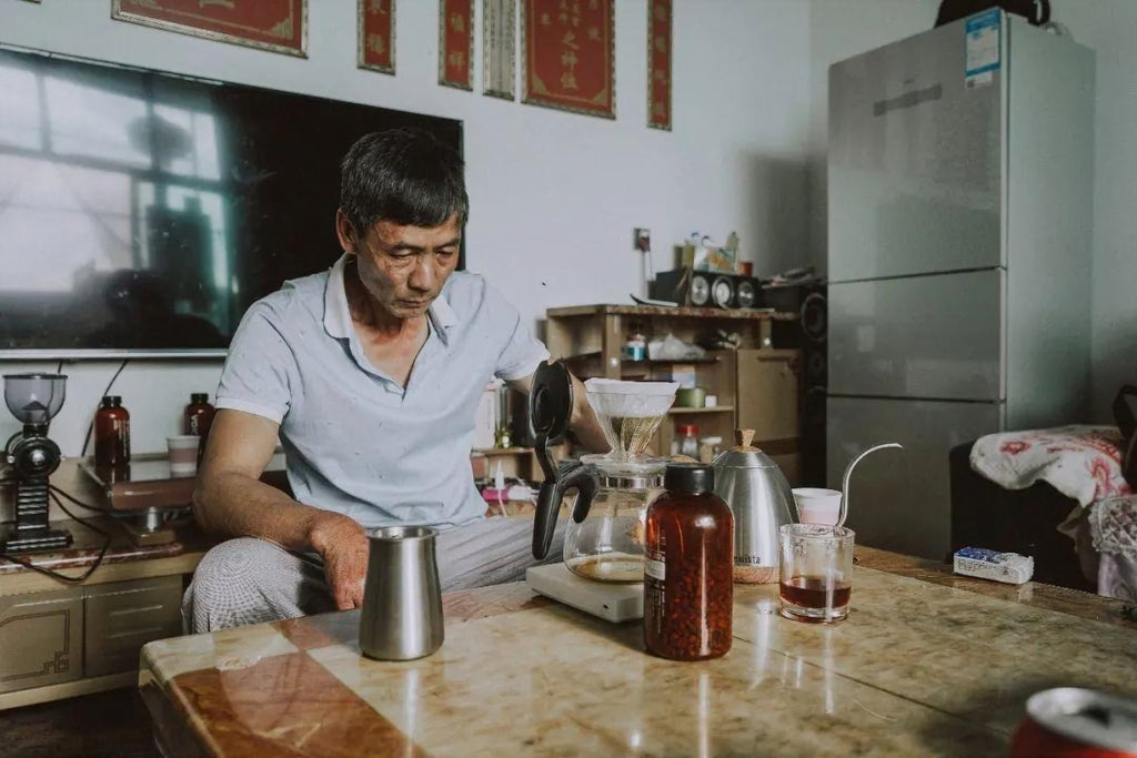 Red Dragon Estate - Yellow Honey [Typica]