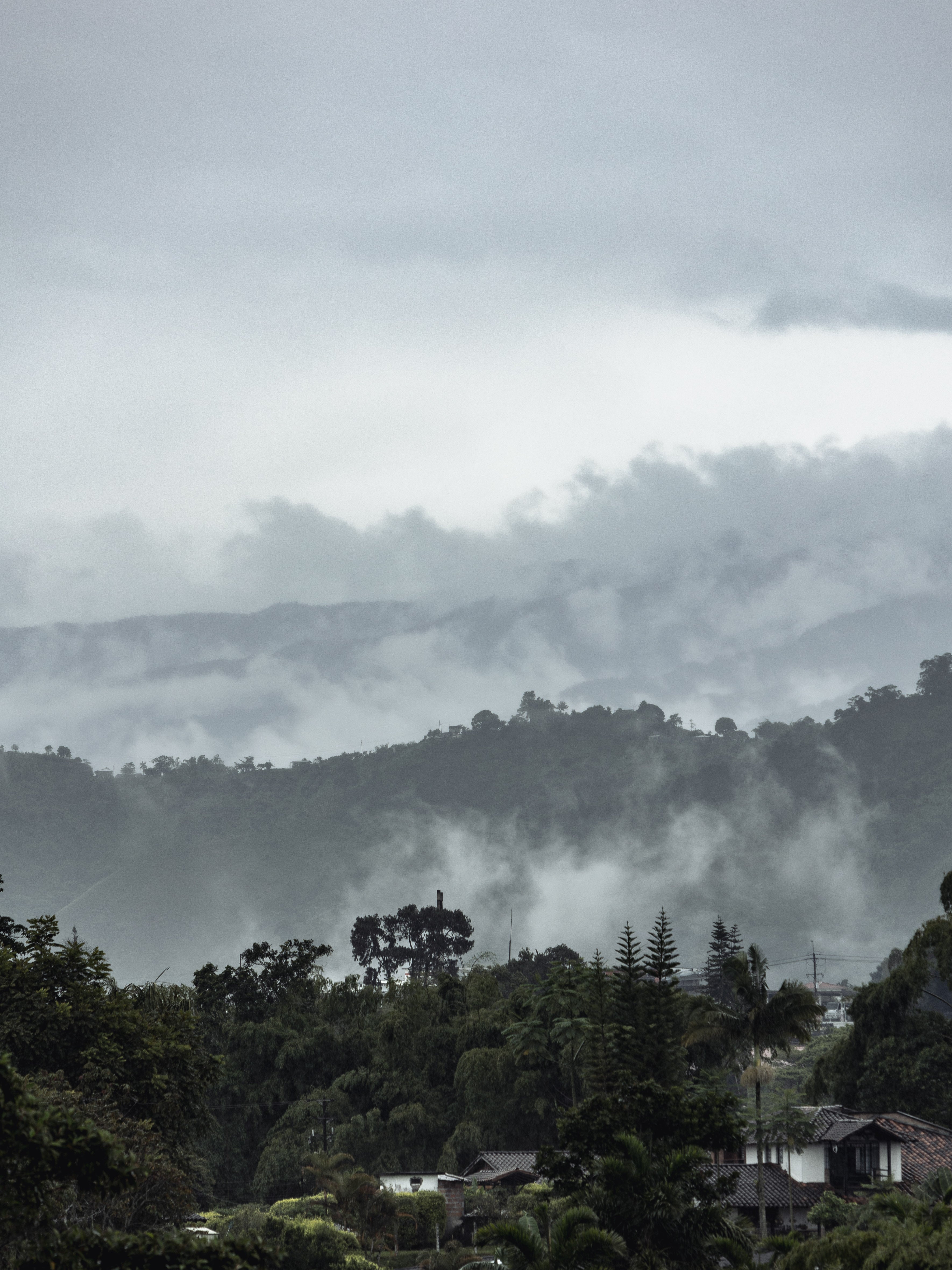 Finca La Riviera - Anaerobic Washed [Pink Bourbon]